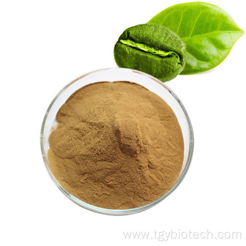 Pure Natural Green Coffee Bean Extract Chlorogenic Acid